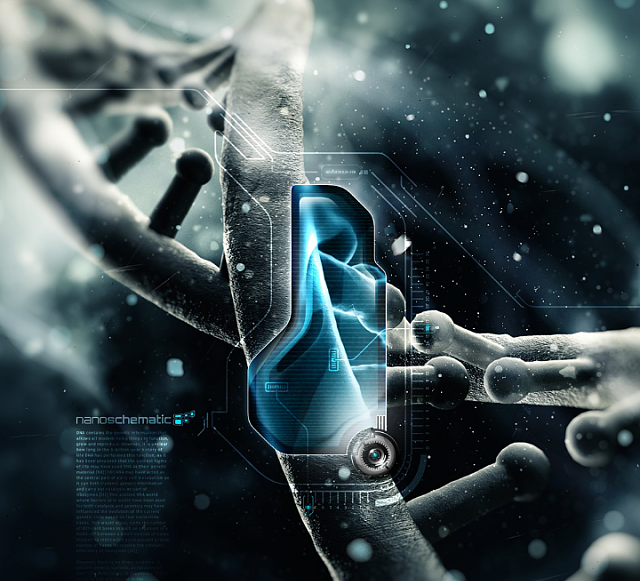 All about protein constituents and needs